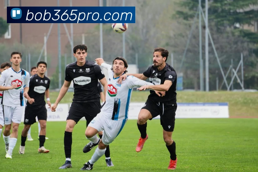 BOB体育APP 高清赛事图